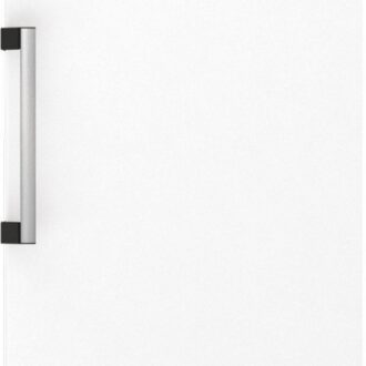 Sügavkülmik Gorenje FN619EAW6